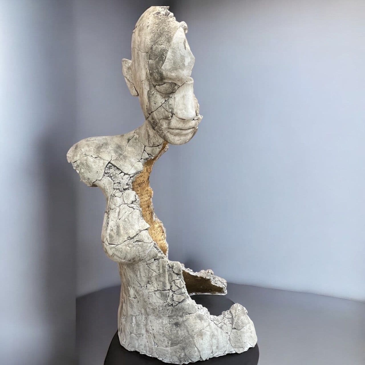 EXUVIA MISSING - Tania Font