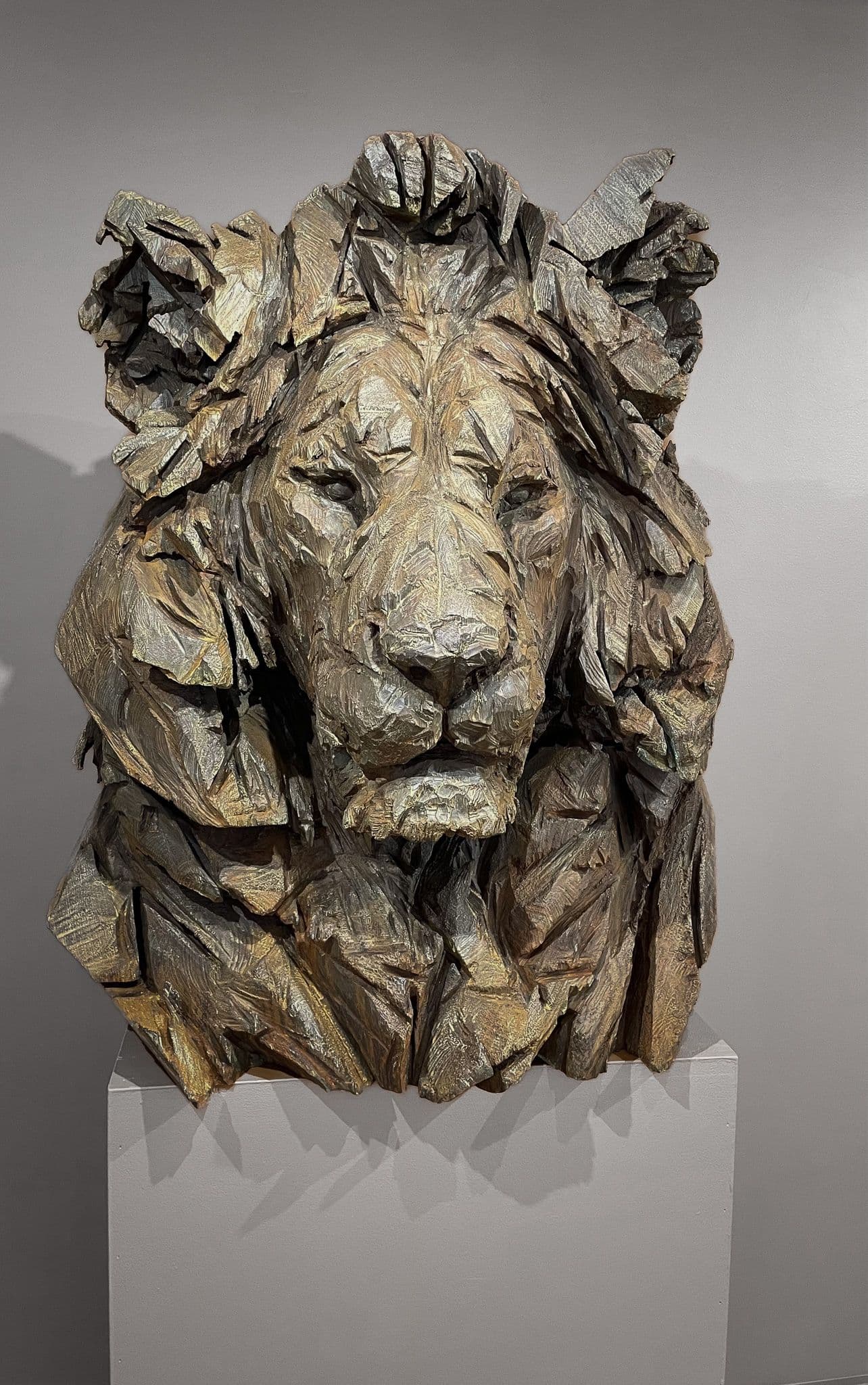 OLD BROTHER - Jurgen Lingl