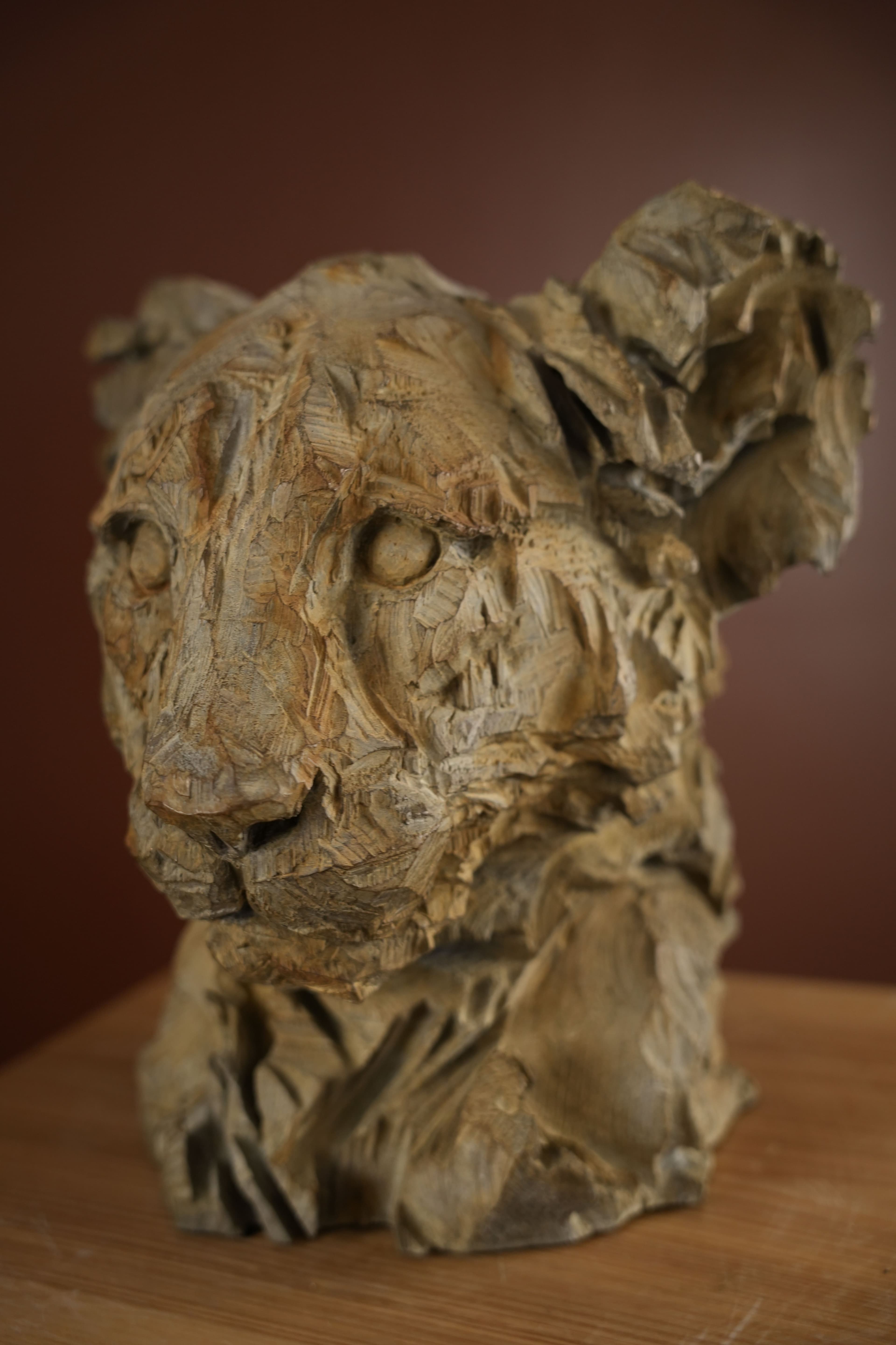 LITTLE BROTHER - Jurgen Lingl