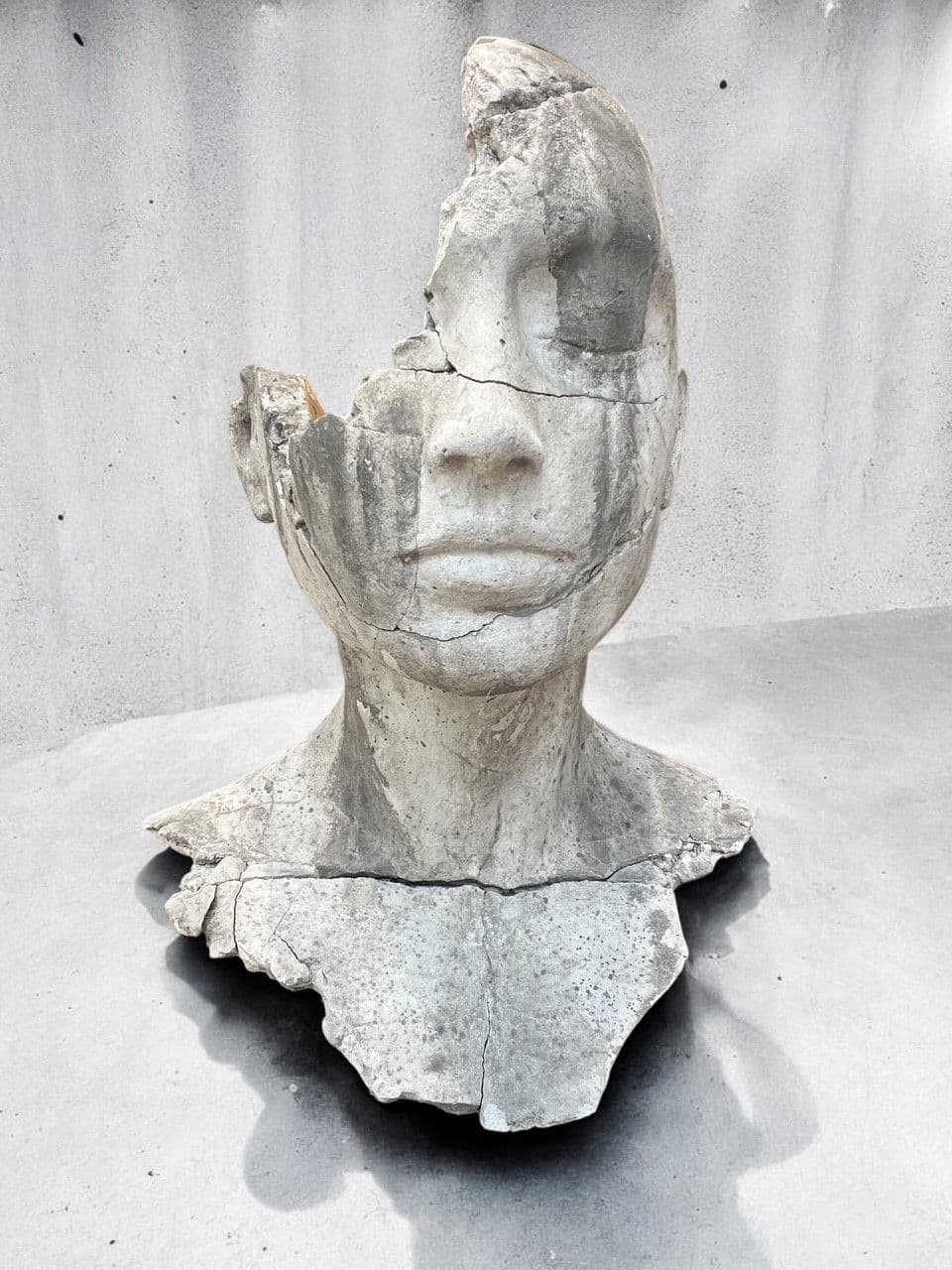 EXUVIA II - Tania Font