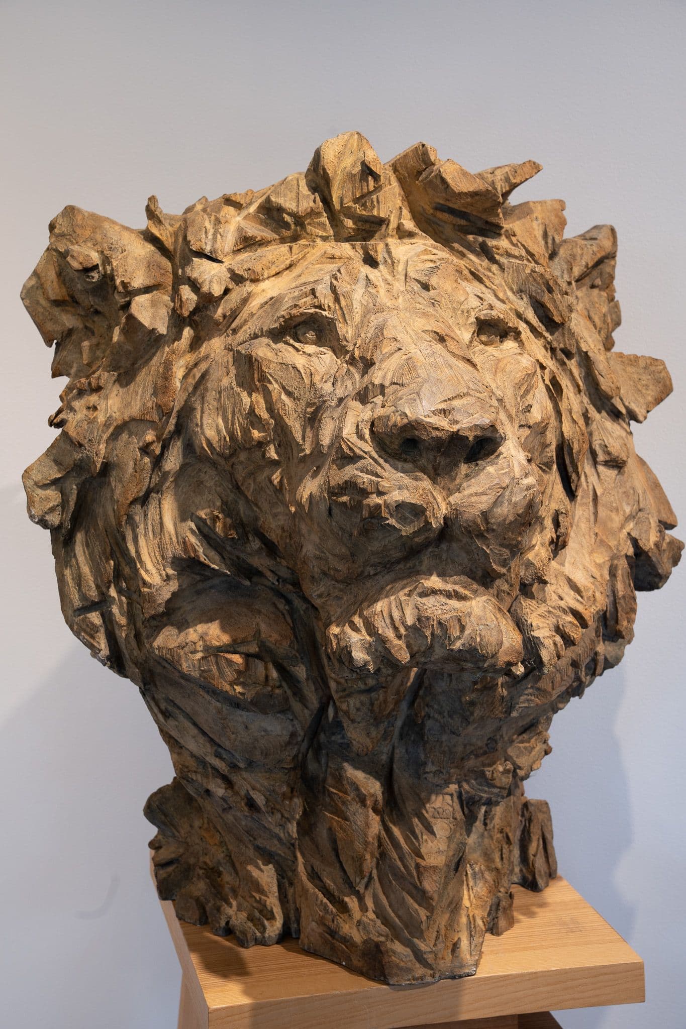 WISDOM- Jurgen Lingl