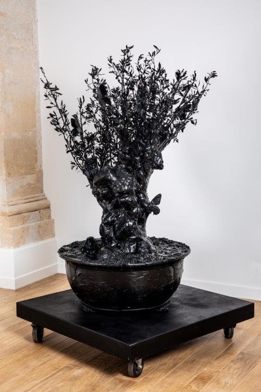 Dark olivier - PHILIPPE PASQUA